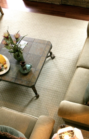 Professional Rug Cleaning, Tile Cleaning Services - Residential